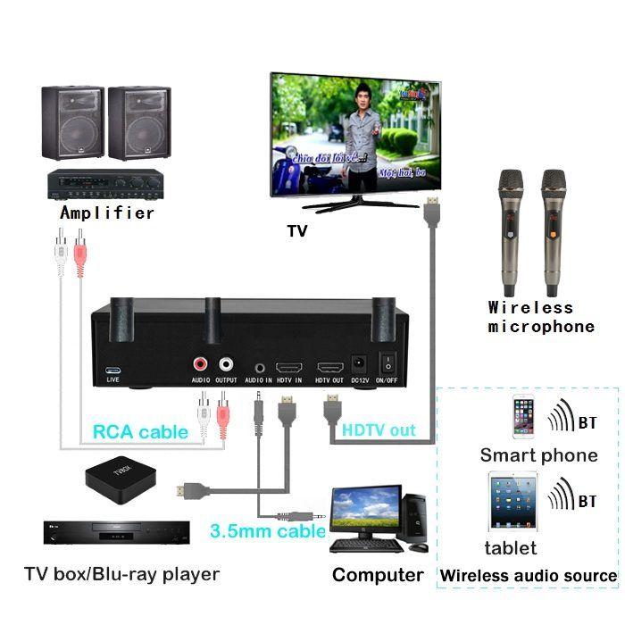 Wireless Microphone Karaoke Mixer System Machine-Aik688, AI Vocal Remover, Pitch Shifter 12 Levels, DSP Reverb and Echo, Feedback Suppression, HDTV with Mic, Support BT Devices or 3.5mm HDTV in/RCA Out